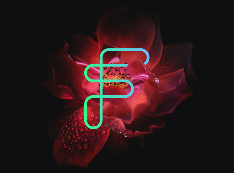 Ifs Foundation logo