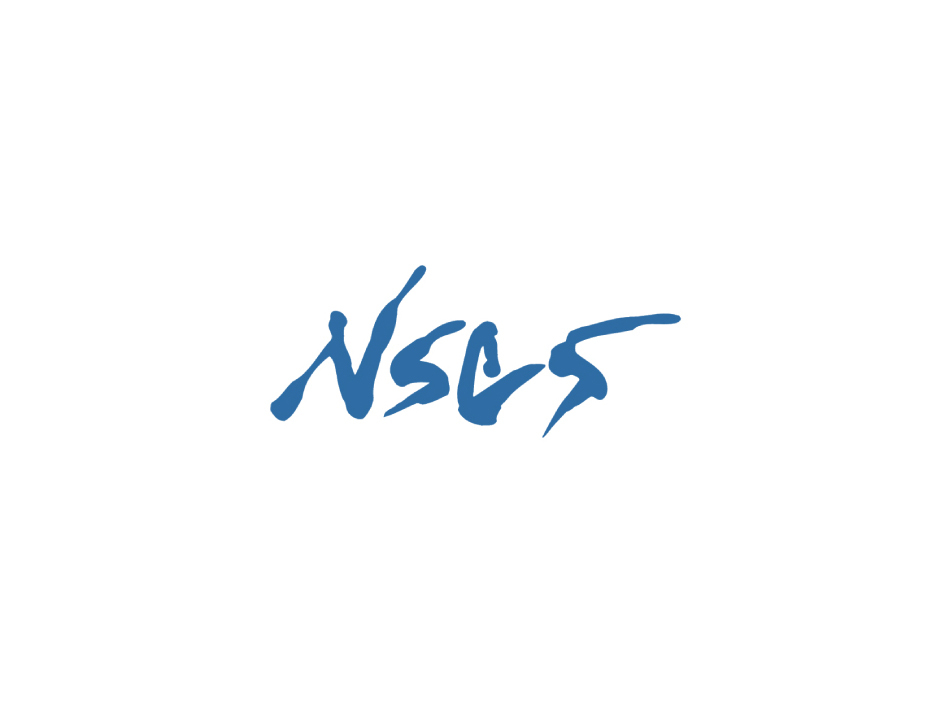 N.S.COMPUTER SERVICE CO.,LTD.
