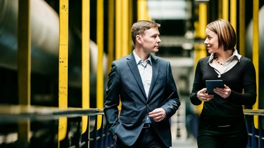 The CEO's Path to Sustainable Growth